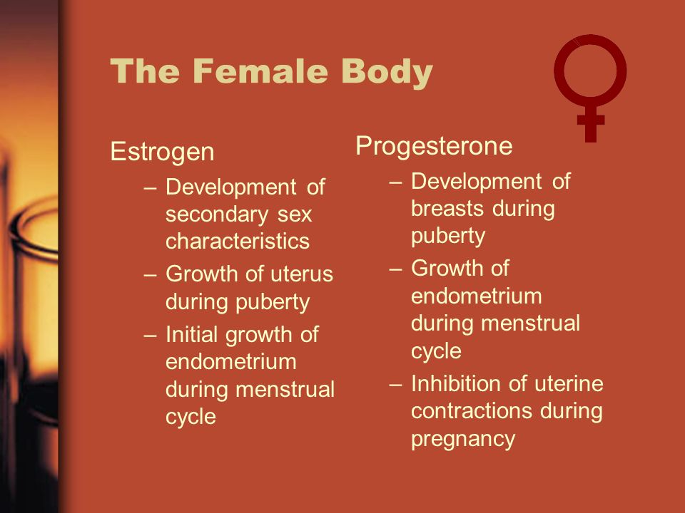 Estrogen and progesterone