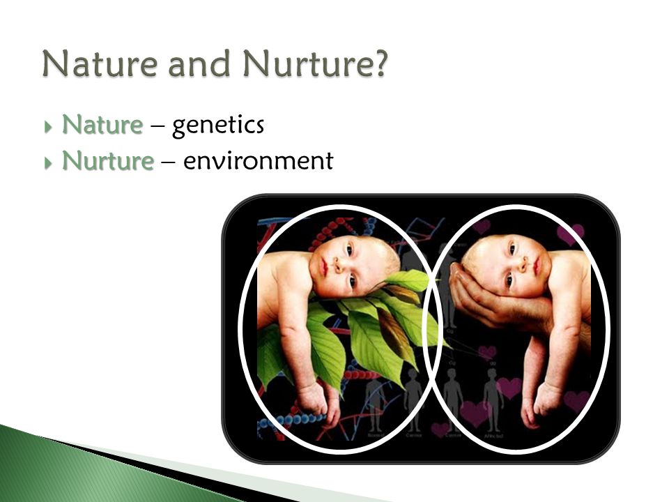 Nature and Nurture Nature – genetics Nurture – environment