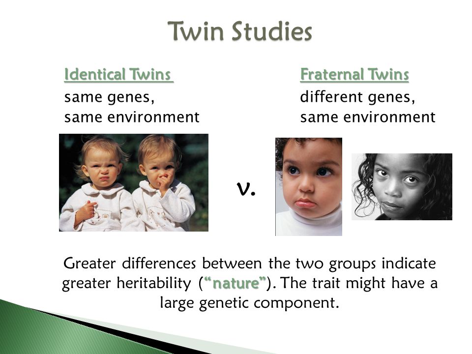 Twin Studies v. same genes, different genes,