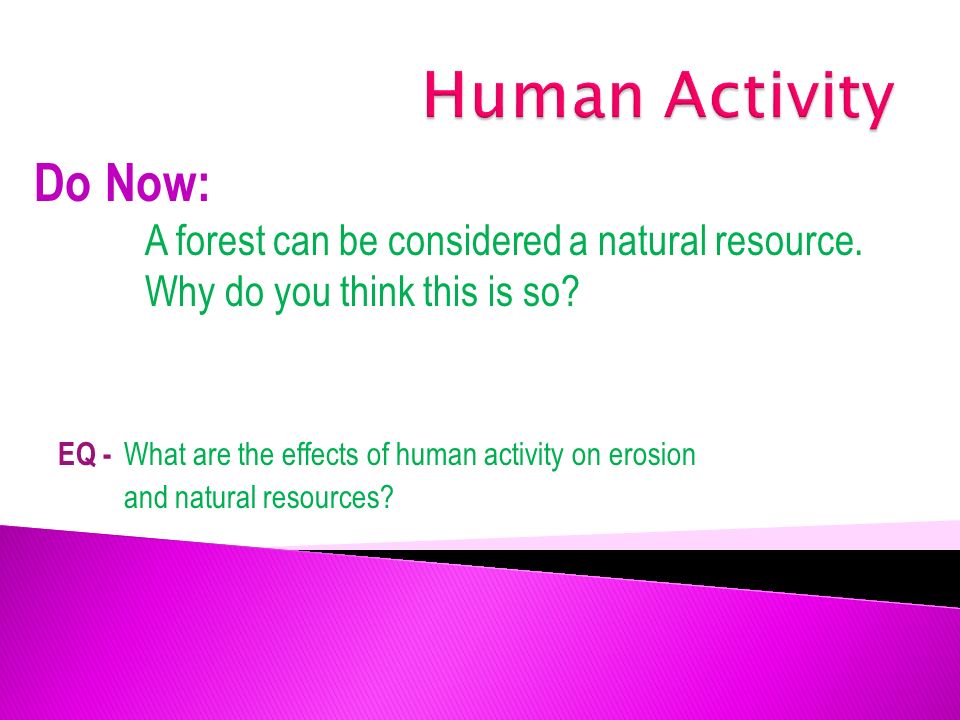 Human Activity Do Now: A forest can be considered a natural resource.