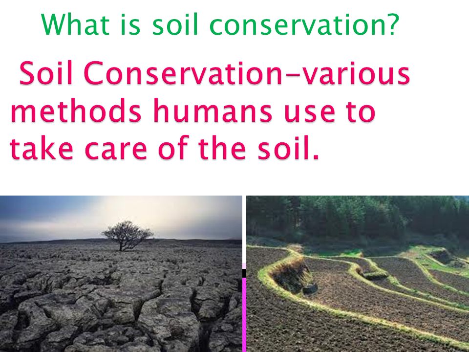Soil Conservation-various methods humans use to take care of the soil.