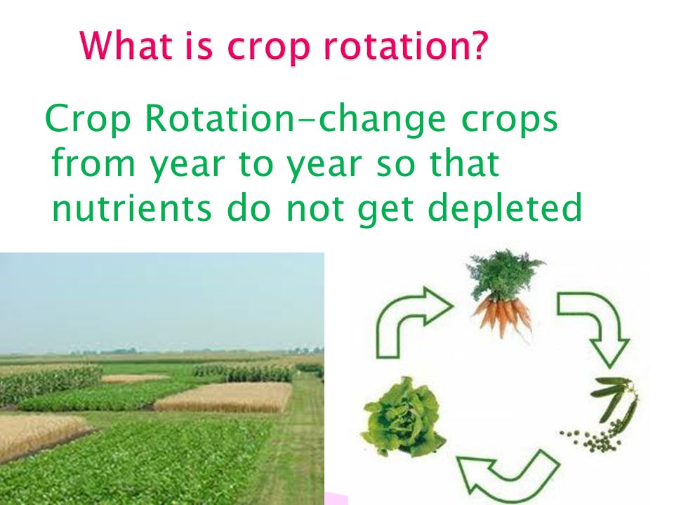 What is crop rotation.