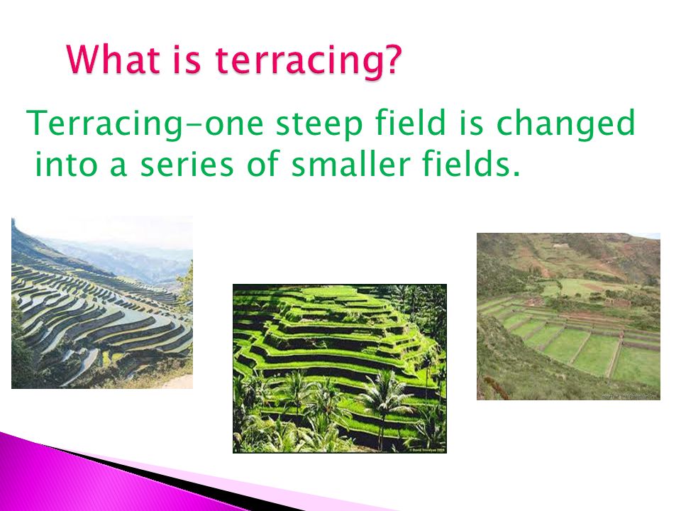 What is terracing Terracing-one steep field is changed into a series of smaller fields.