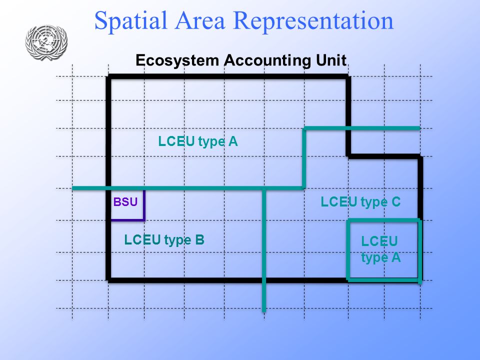 Spatial Area Representation