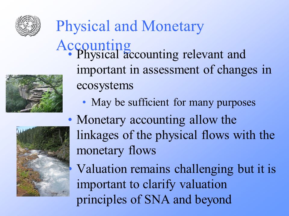 Physical and Monetary Accounting