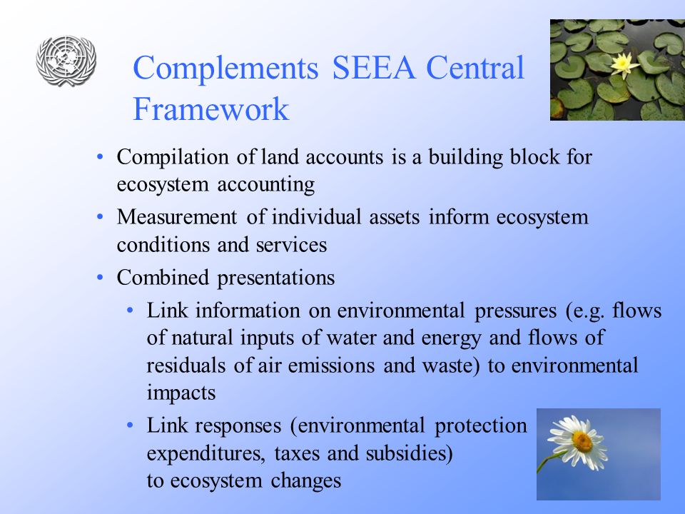 Complements SEEA Central Framework