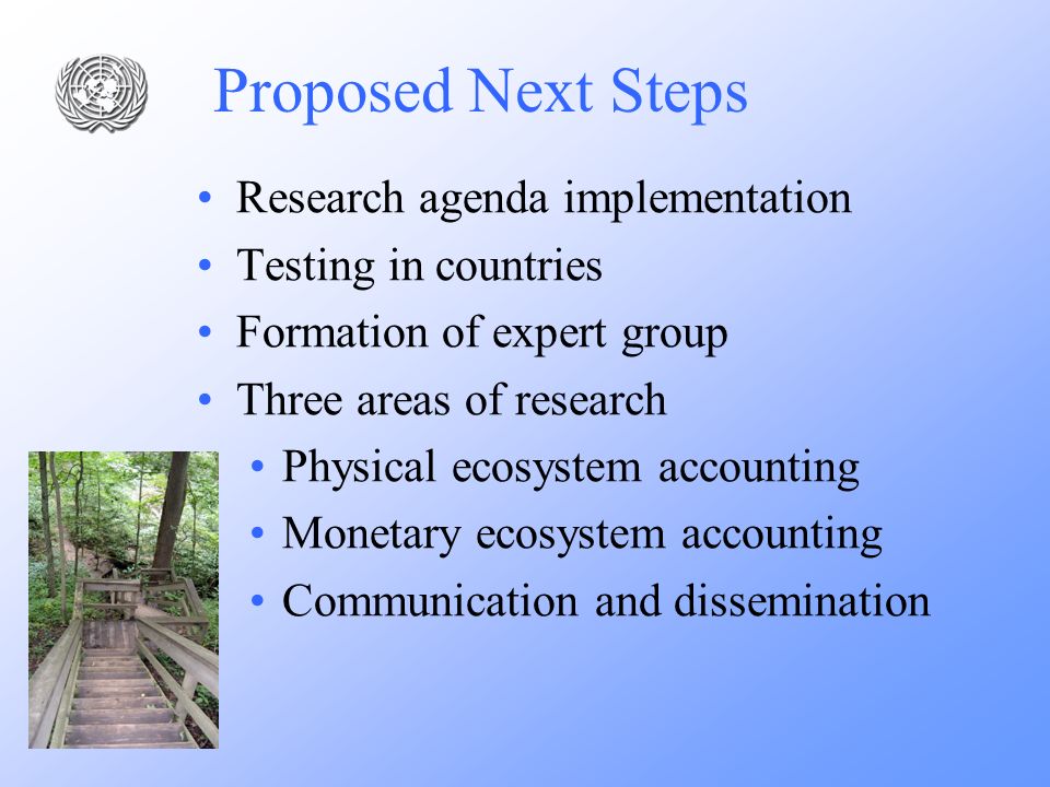 Proposed Next Steps Research agenda implementation