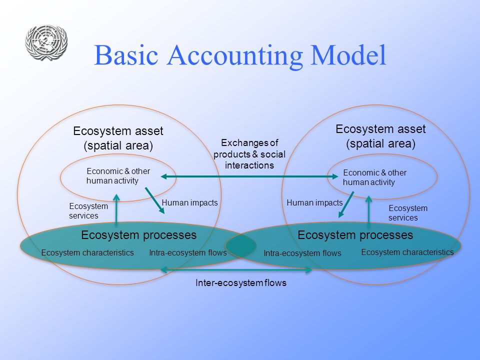 Basic Accounting Model