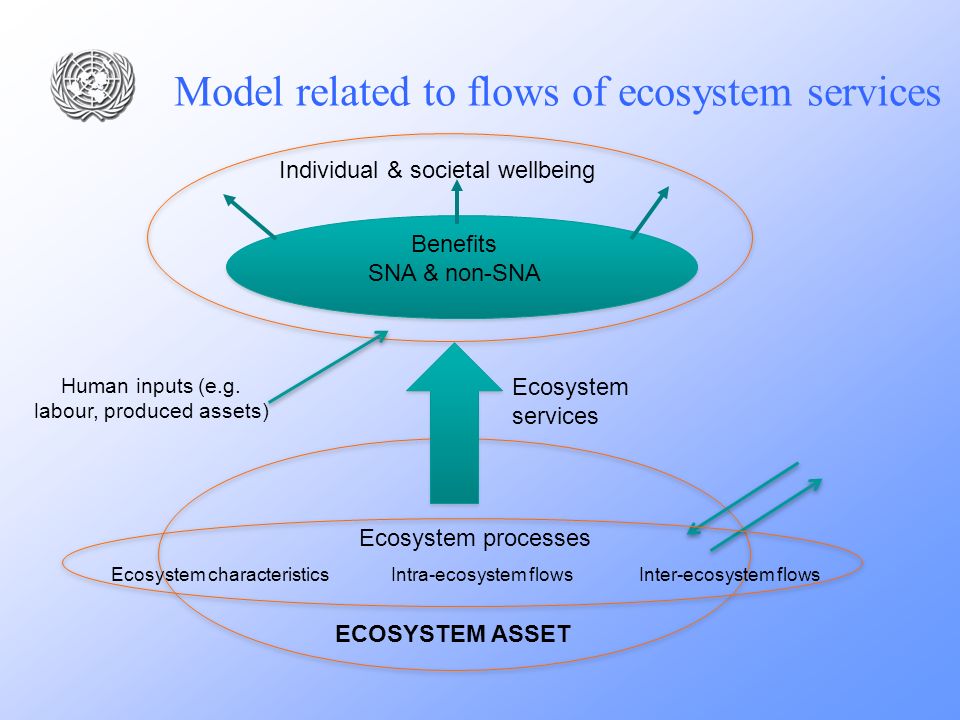 Model related to flows of ecosystem services