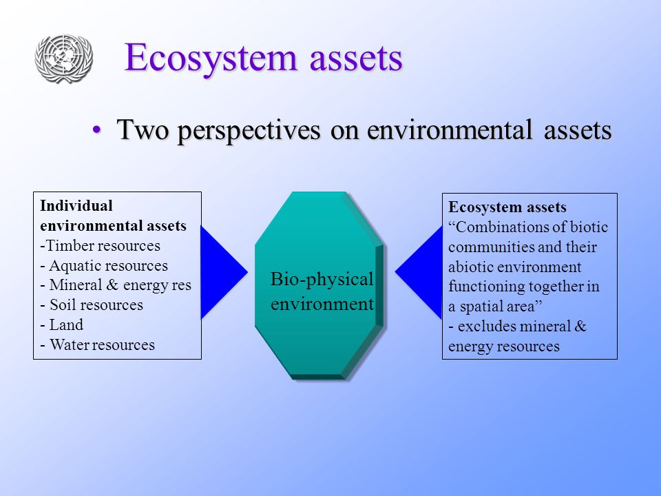 Ecosystem assets Two perspectives on environmental assets