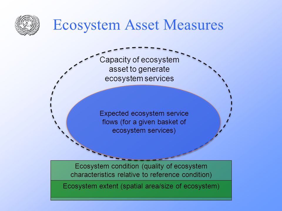 Ecosystem Asset Measures
