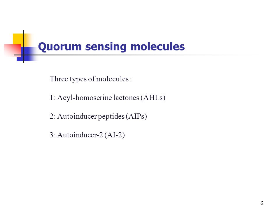 Quorum sensing molecules
