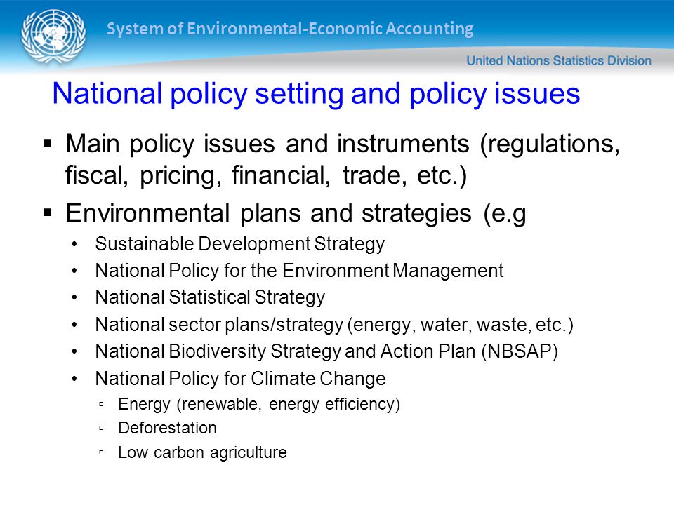 National policy setting and policy issues