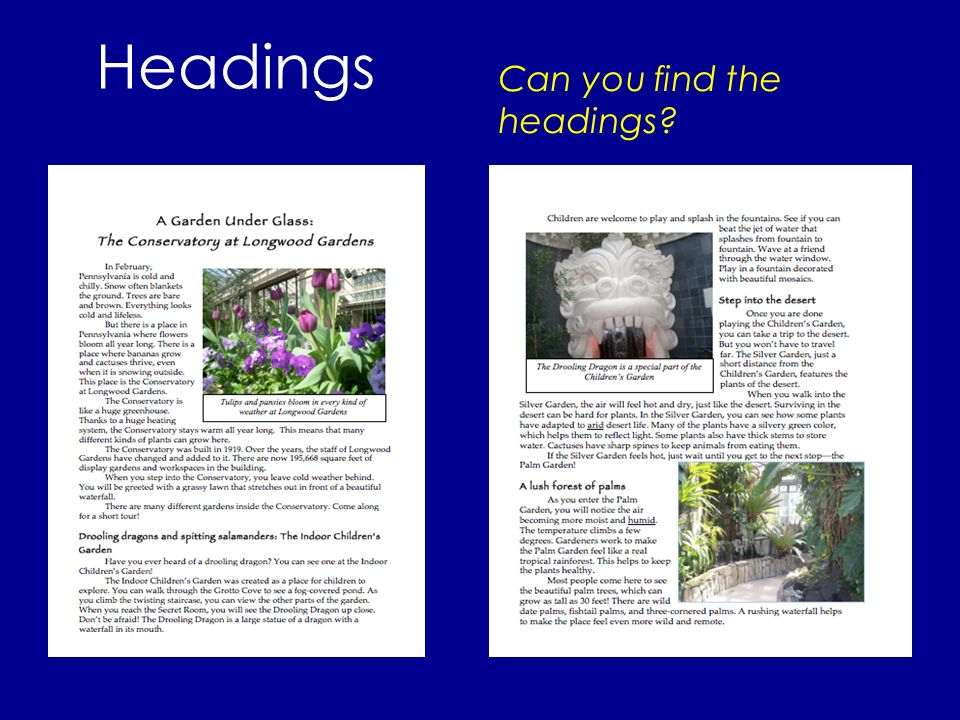 Headings Can you find the headings