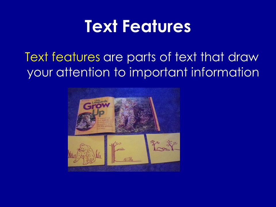Text Features Text features are parts of text that draw your attention to important information