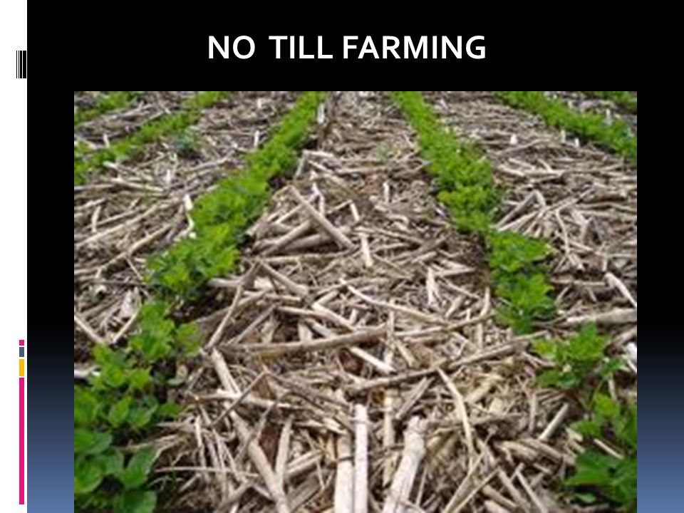 NO TILL FARMING