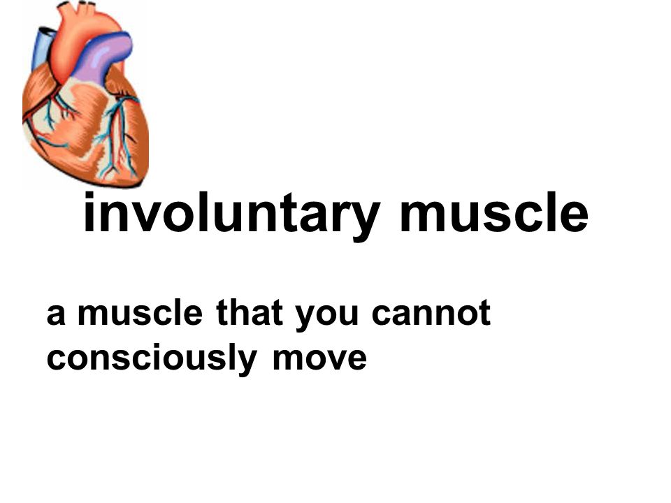 a muscle that you cannot consciously move