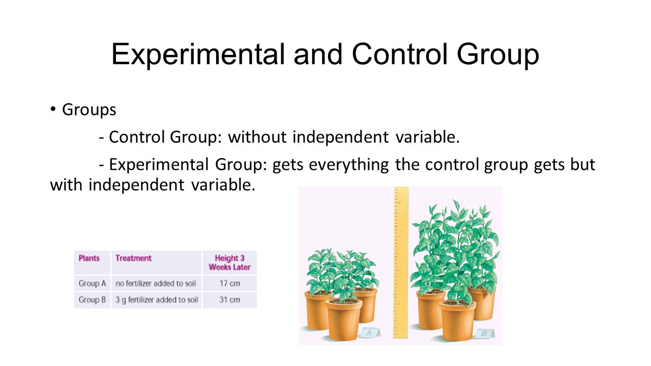 Experimental and Control Group