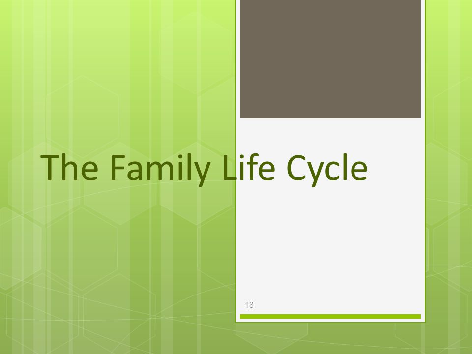 The Family Life Cycle