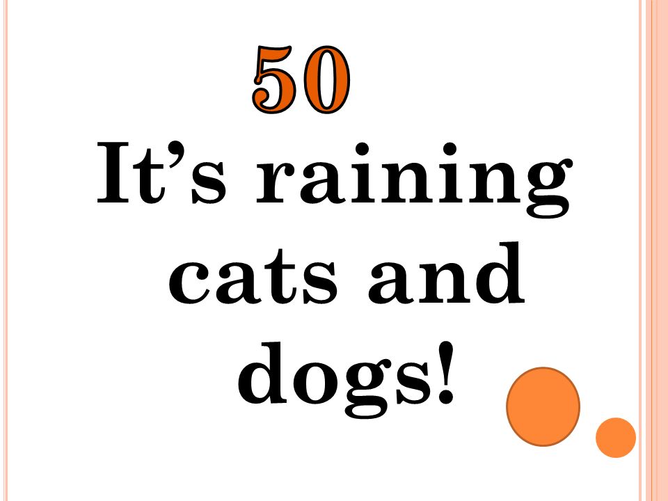 It’s raining cats and dogs!
