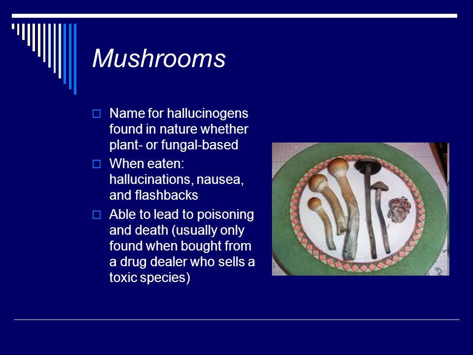 Mushrooms Name for hallucinogens found in nature whether plant- or fungal-based. When eaten: hallucinations, nausea, and flashbacks.