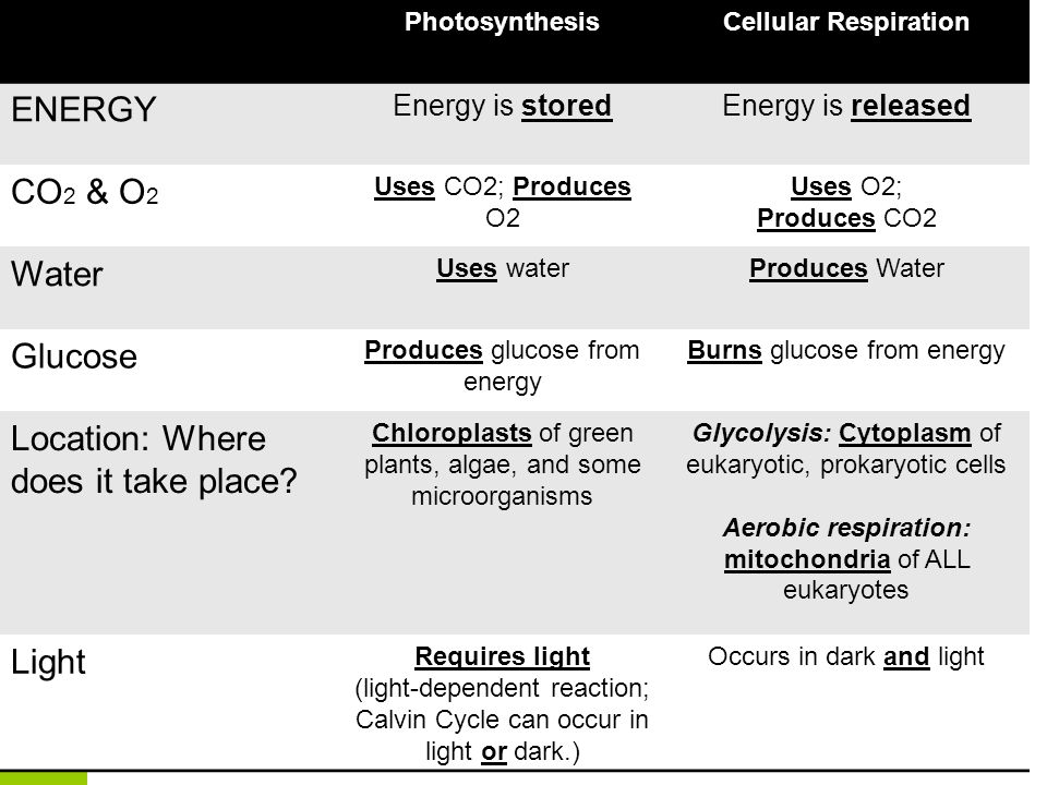 Photosynthesis Vs Cellular Respiration Chart