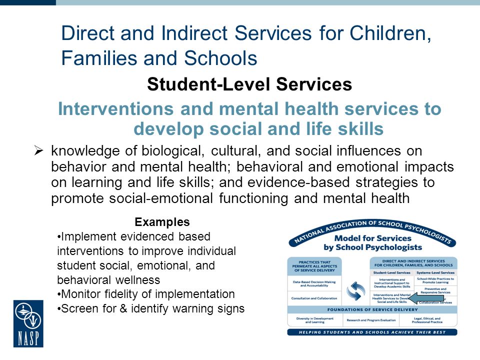 Direct and Indirect Services for Children, Families and Schools