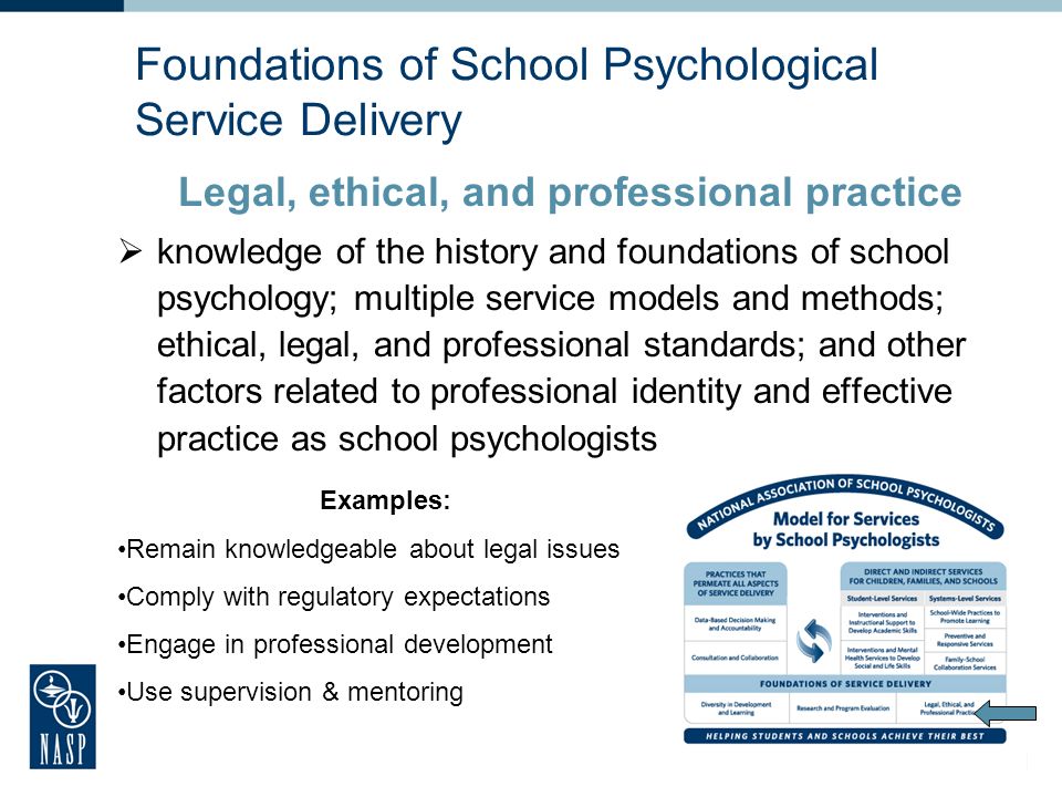 Foundations of School Psychological Service Delivery