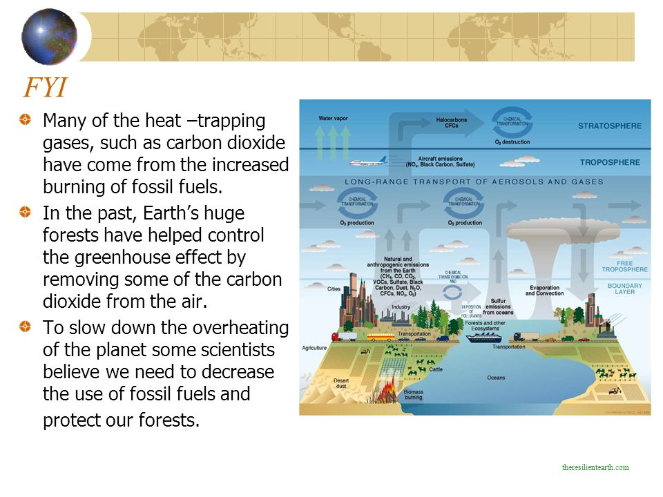 FYI Many of the heat –trapping gases, such as carbon dioxide have come from the increased burning of fossil fuels.
