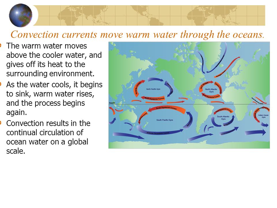 Convection currents move warm water through the oceans.