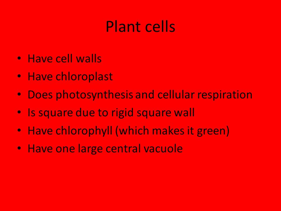Plant cells Have cell walls Have chloroplast