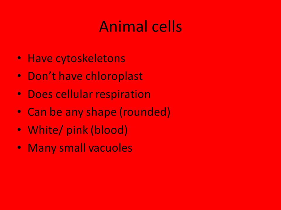 Animal cells Have cytoskeletons Don’t have chloroplast