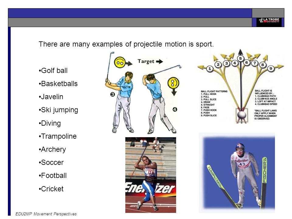 There are many examples of projectile motion is sport.