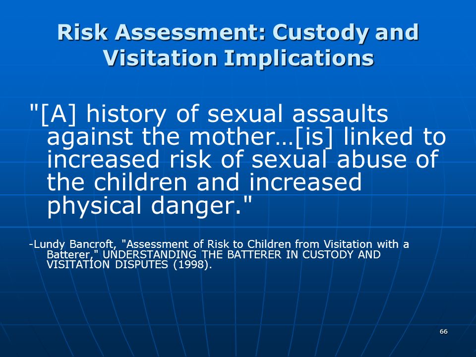 Risk Assessment: Custody and Visitation Implications