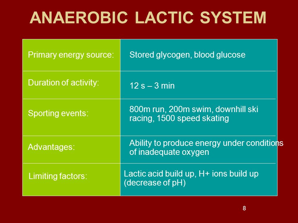 ANAEROBIC LACTIC SYSTEM