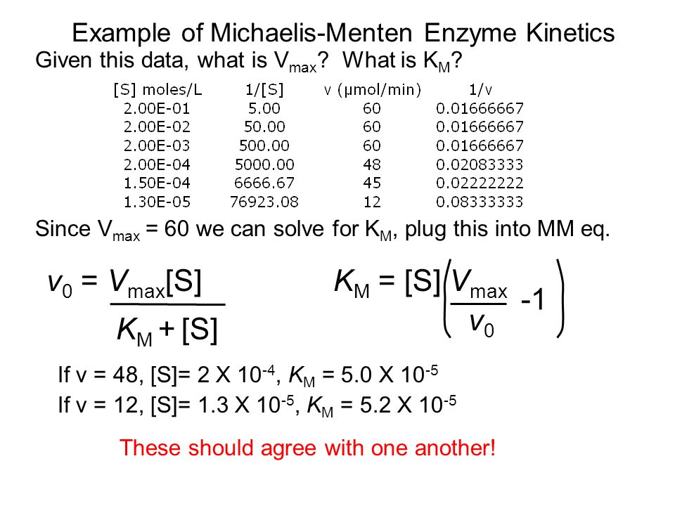 Lecture 15 Enzymology Today Howard Salis 148 Baker 3pm Extra Credit Seminar Assignments Due Monday Ppt Video Online Download Lecture 15 Enzymology Today Howard Salis 148 Baker 3pm Extra Credit Seminar Assignments Due Monday Ppt Video Online Download
