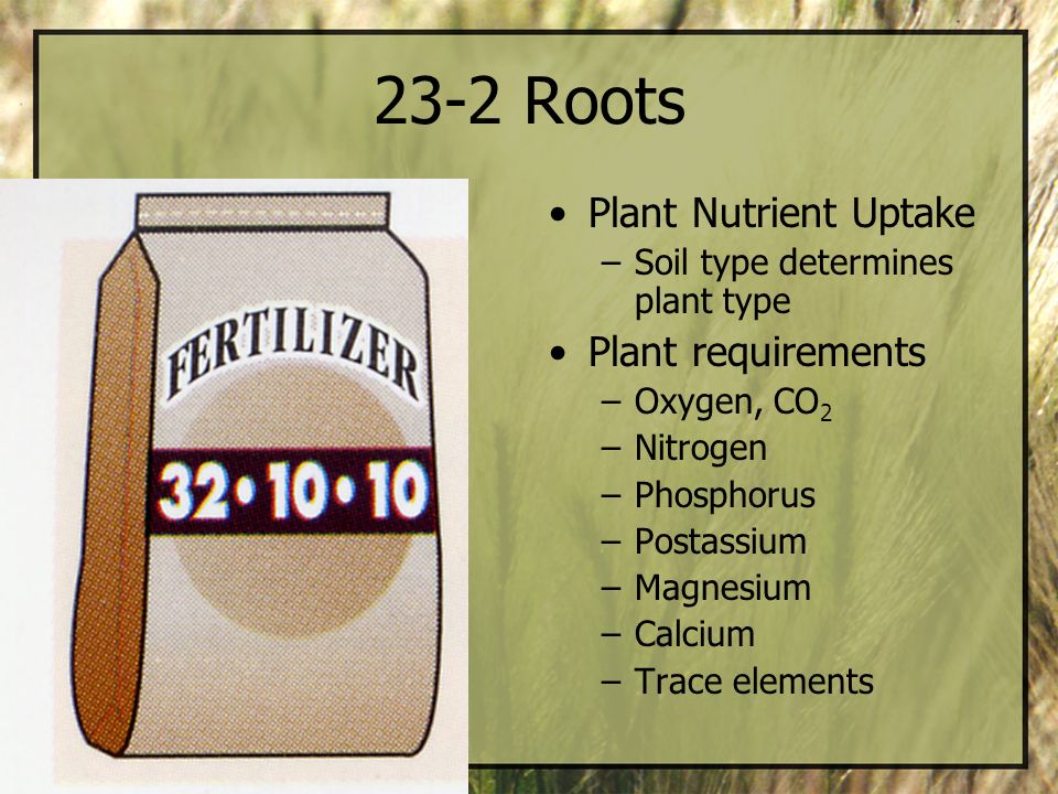 23-2 Roots Plant Nutrient Uptake Plant requirements