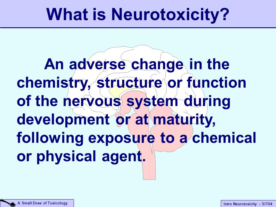 A Small Dose Of Neurotoxicity Ppt Video Online Download