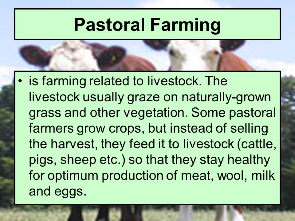 Pastoral Farming