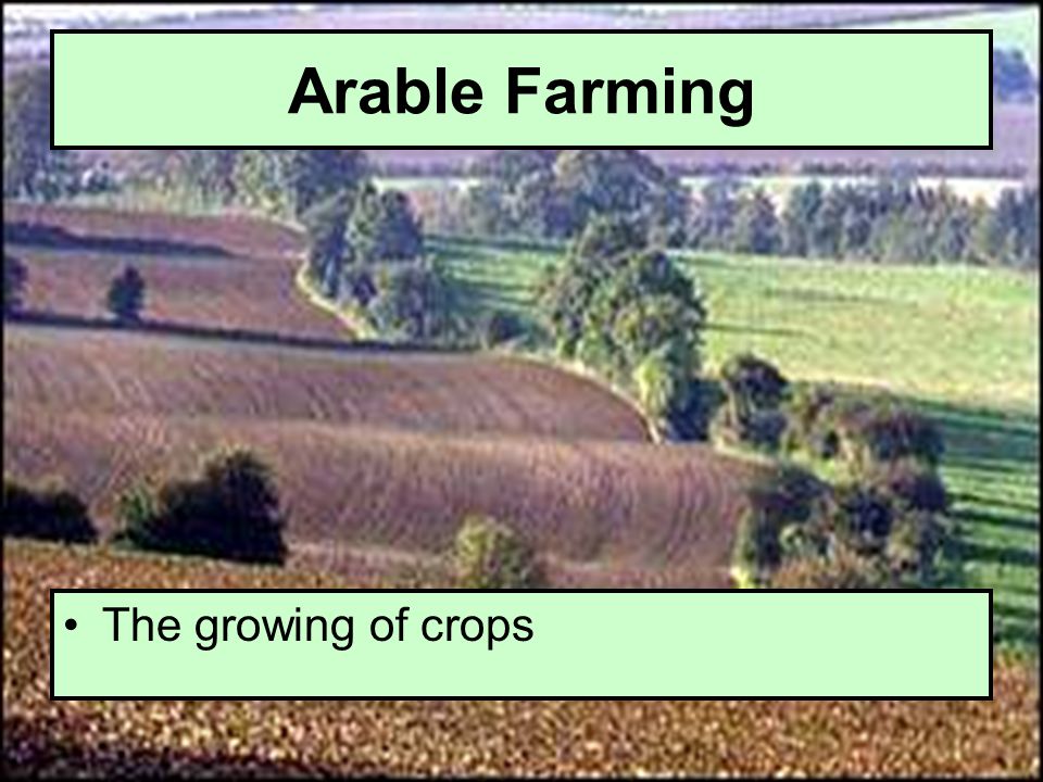 Arable Farming The growing of crops