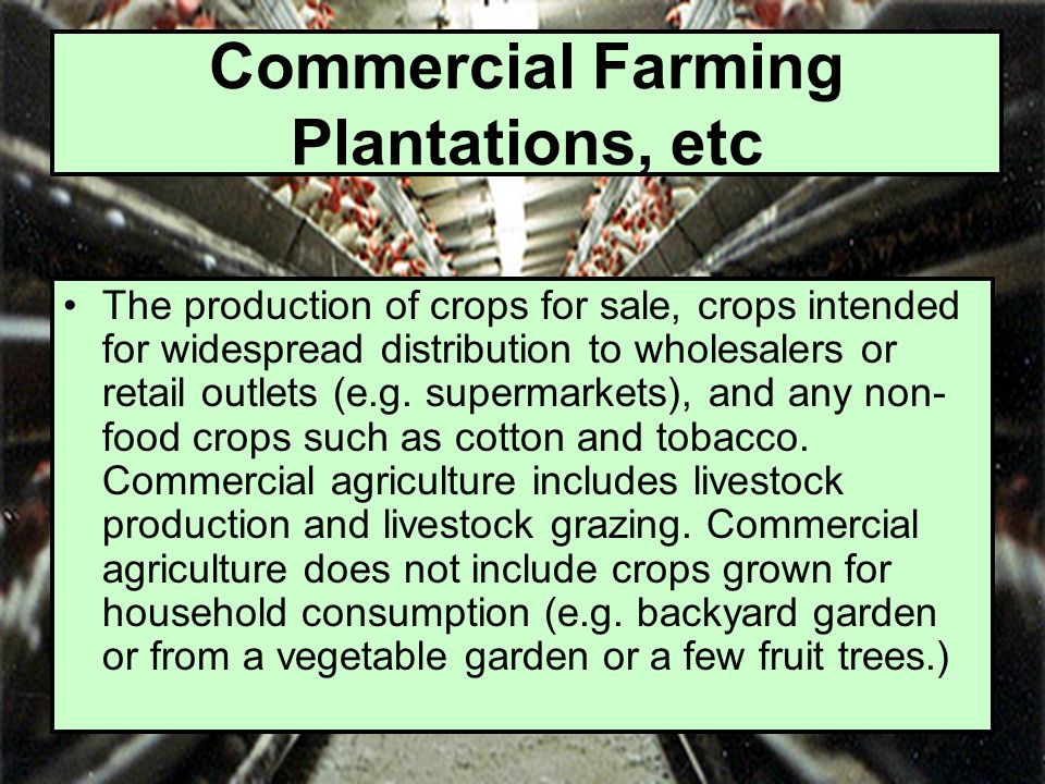 Commercial Farming Plantations, etc