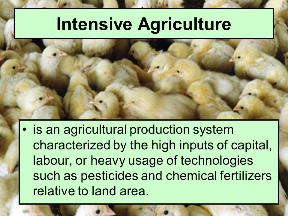 Intensive Agriculture