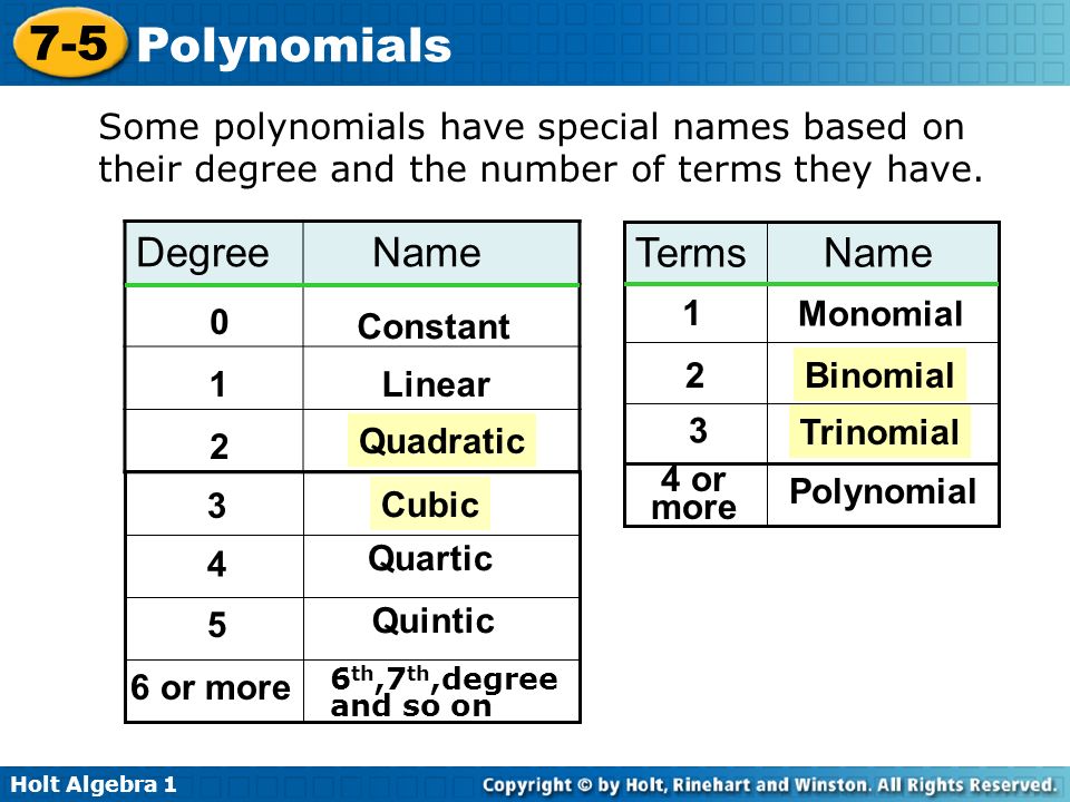 Leading term of the polynomial. Monomials and polynomials. Quartic. Polynomial Matrix. Leading term