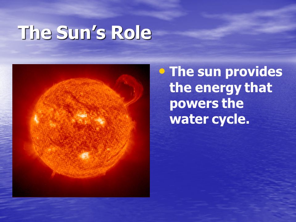 The Sun’s Role The sun provides the energy that powers the water cycle.