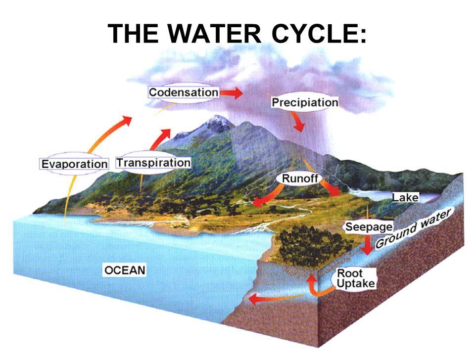 THE WATER CYCLE: