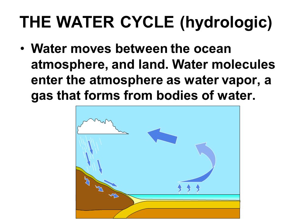 THE WATER CYCLE (hydrologic)