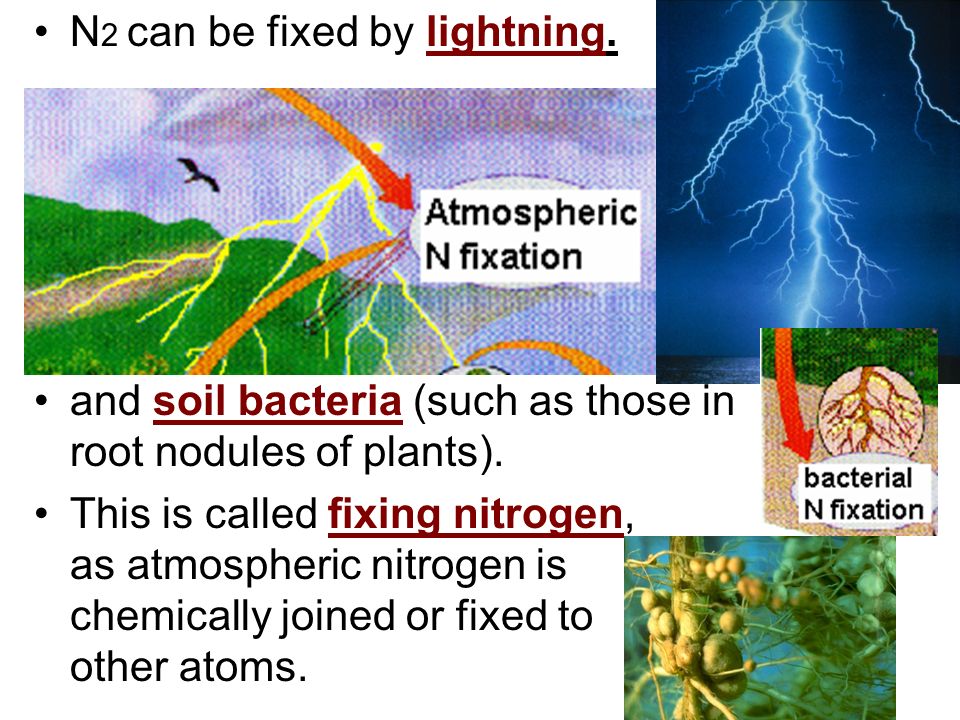 N2 can be fixed by lightning.