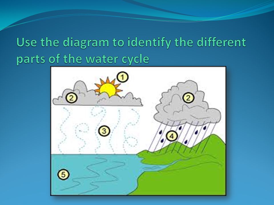 Use the diagram to identify the different parts of the water cycle
