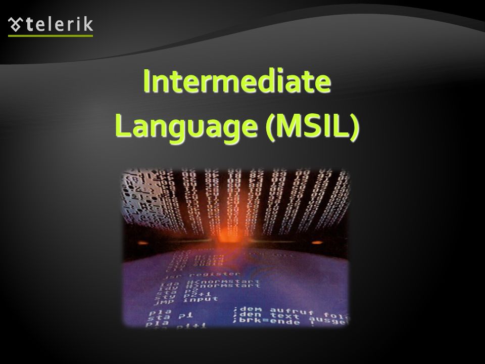 Intermediate Language (MSIL)