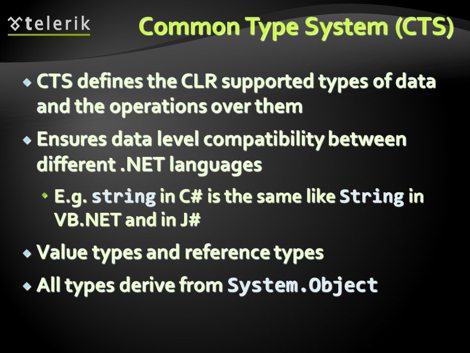 Common Type System (CTS)